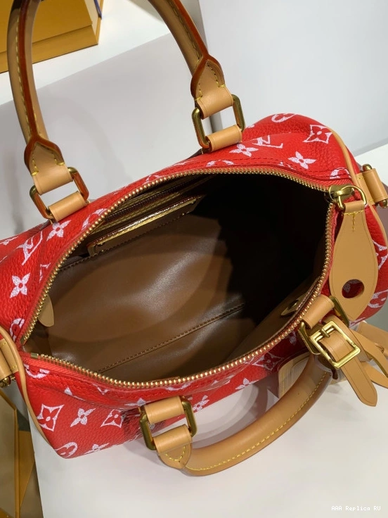 Aaa replica bags Bandoulière P9  VUITTON 25 LOUIS Speedy 0813